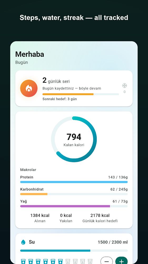 Steps, water, streak — all tracked